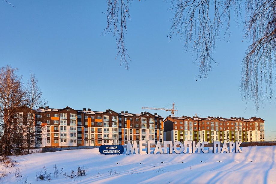 Микрорайон Мичуринский Брянск