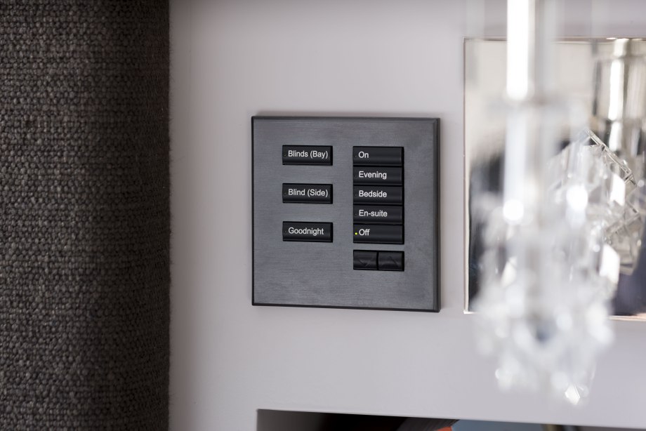 Lutron Palladium
