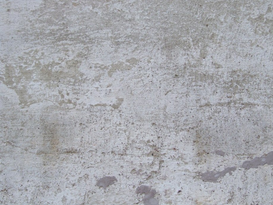 Dirt Plaster 20120824