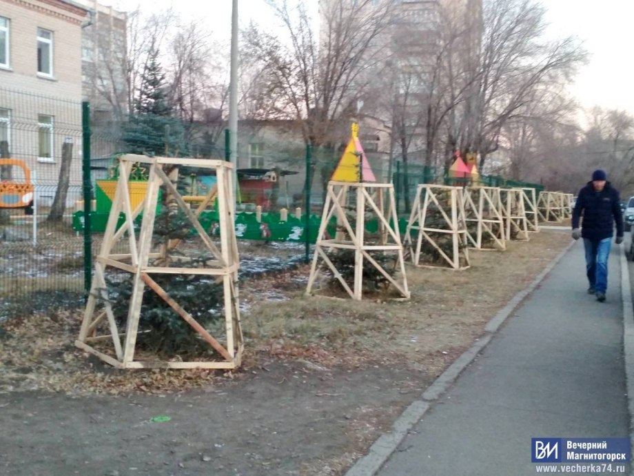 Ограждение для деревьев