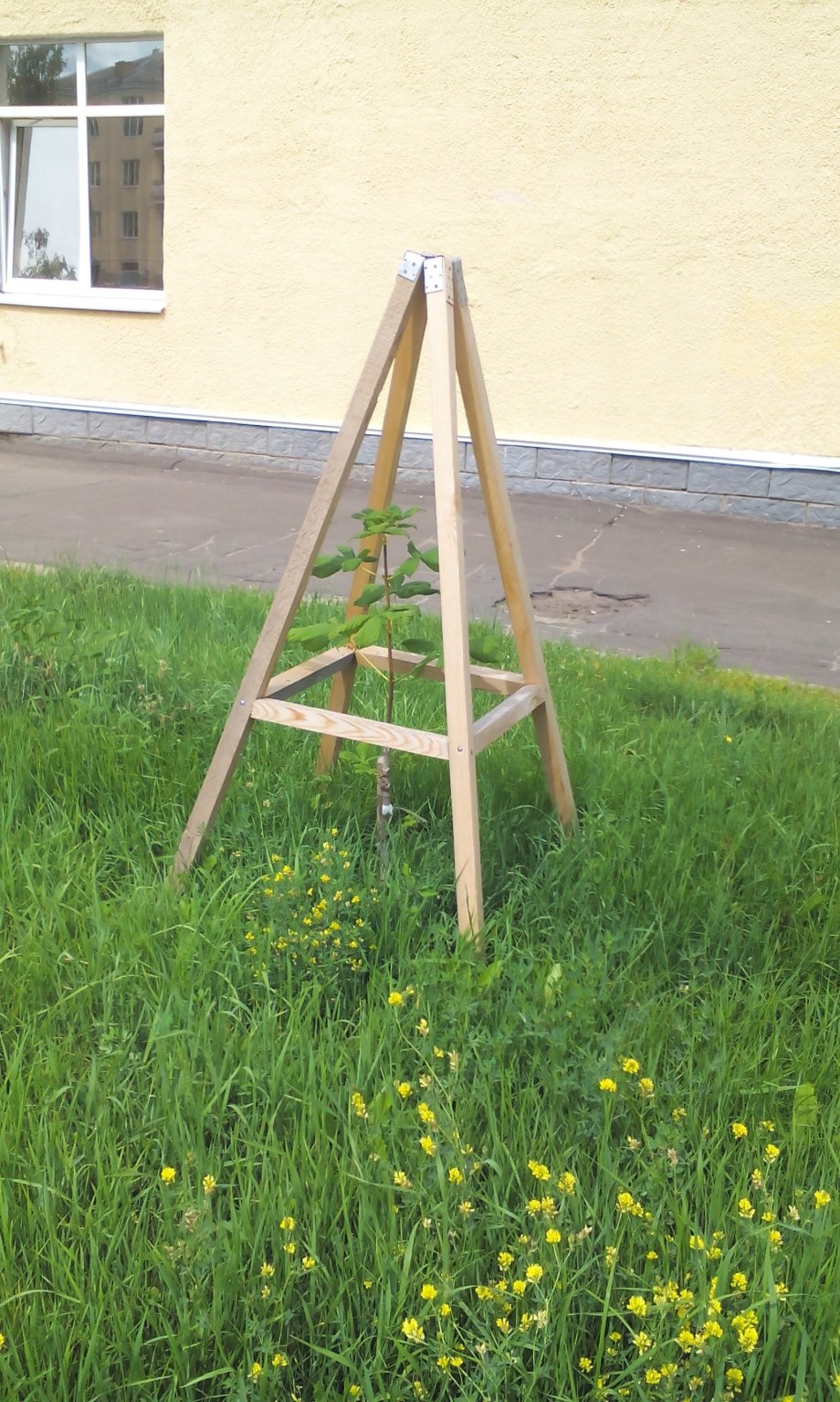 Опора для деревьев