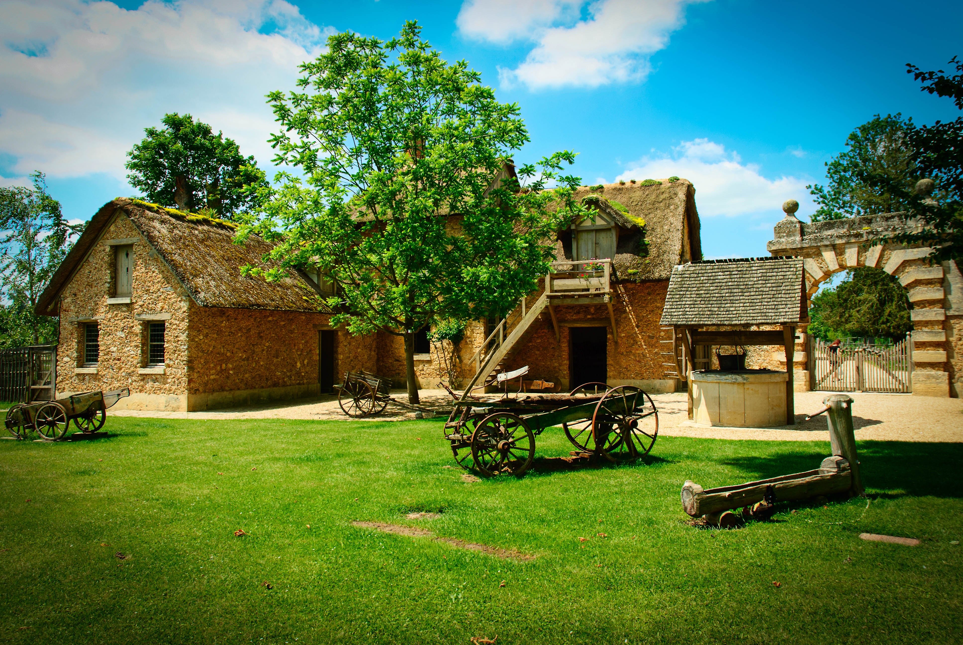 Met village. Двор сарай деревня. Сельский домик. Деревенский дом двор. Задний двор в деревне.