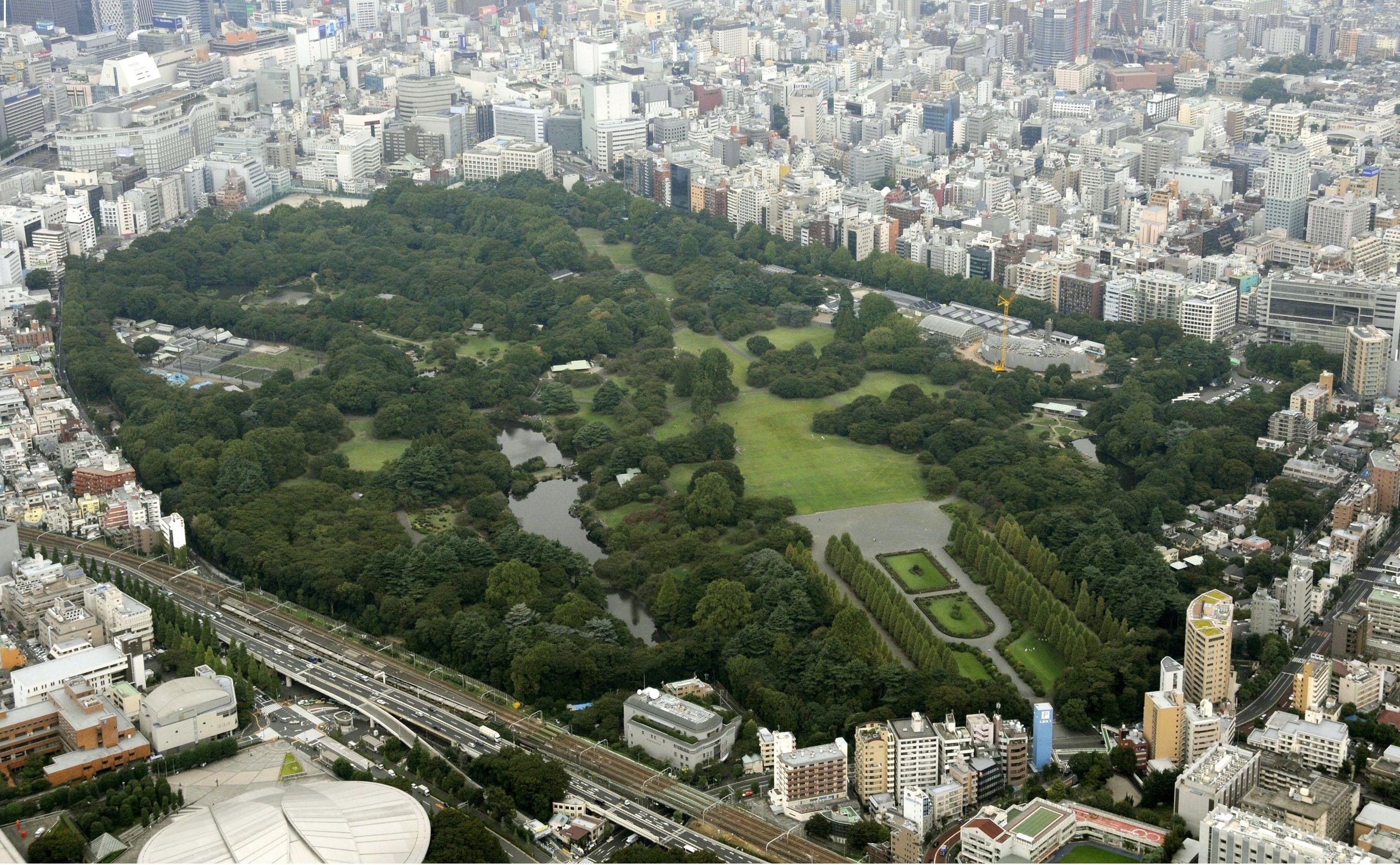 Tokyo paraguaipoa