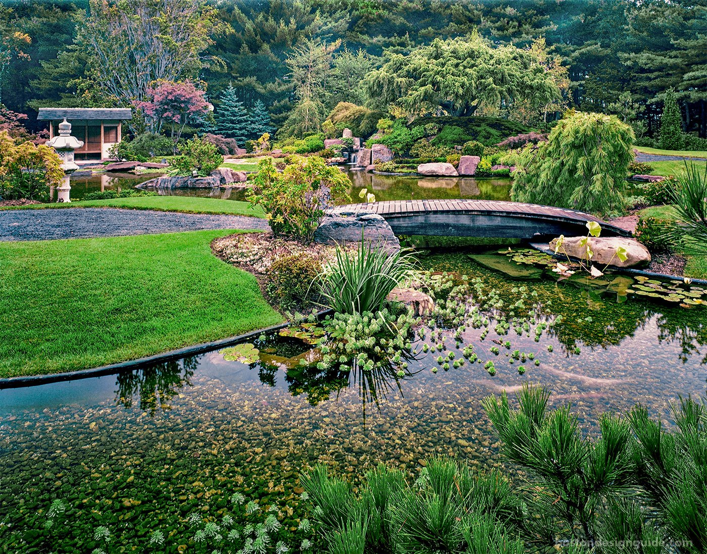 Японский пруд. Японский сад с прудом. Японская усадьба с прудиком. Ландшафтная архитектура.