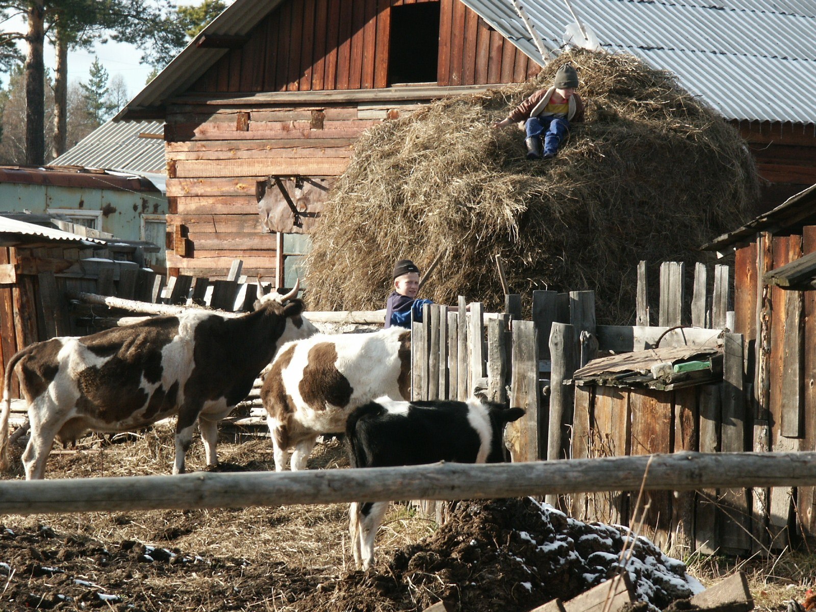 Хозяйства города. Хозяйство в деревне. Подсобное хозяйство в деревне. Домик с хозяйством. Домик в деревне с хозяйством.