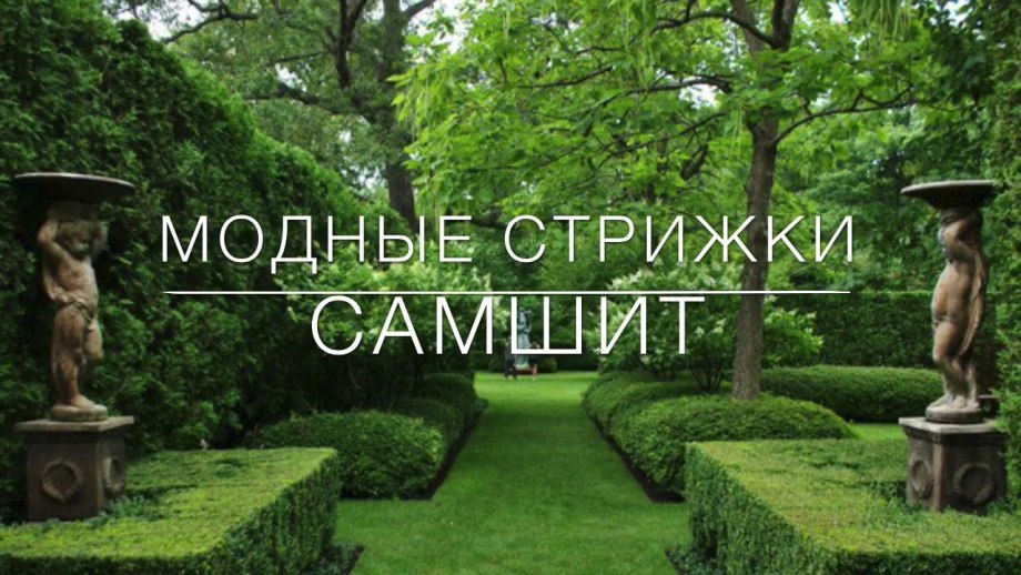 Самшит английский сад Мюнхен