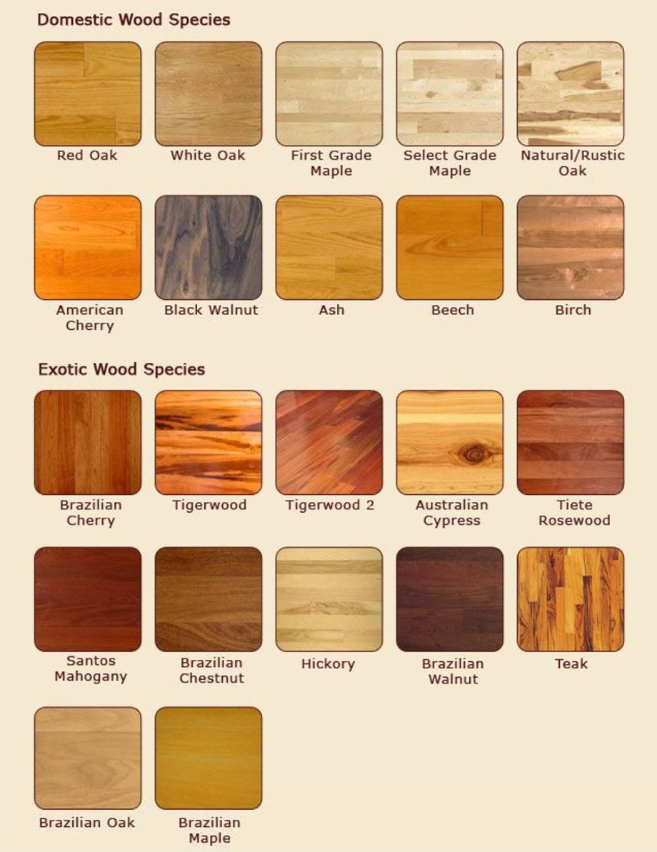 Породы деревьев названия. Цвет древесины разных пород. Породы древесины для мебели. Деревья разных пород. Типы дерева для мебели.