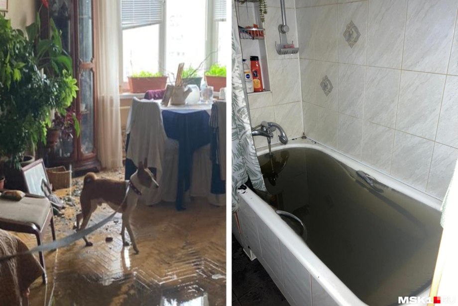 Потоп в квартире