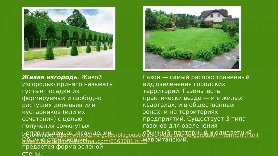 Цель озеленения города