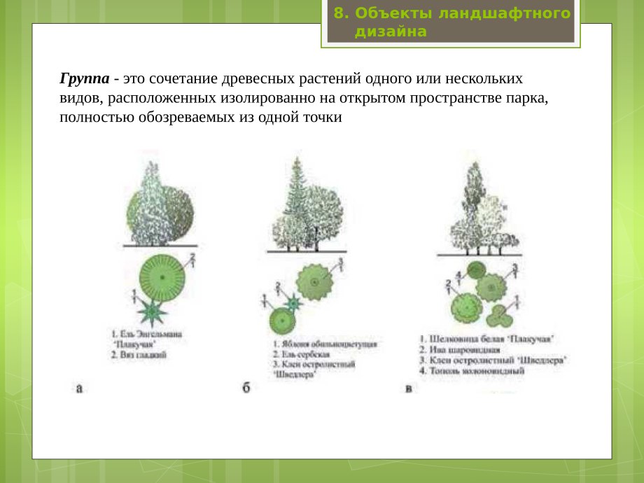 Цветник из хвойников схема
