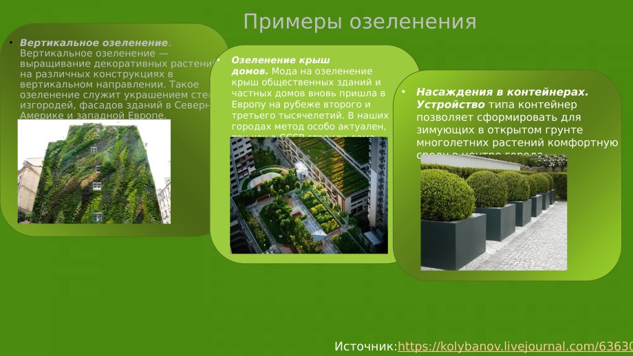 Использование знаний о формировании крон в дизайне ландшафта