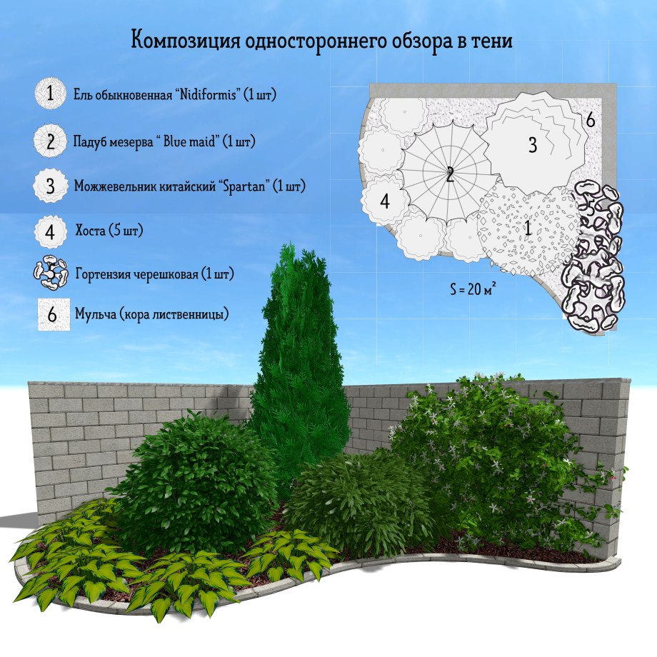 Схема посадки хвойников с кустарниками