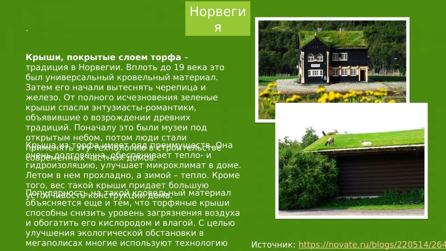 Основные принципы композиции зеленых насаждений
