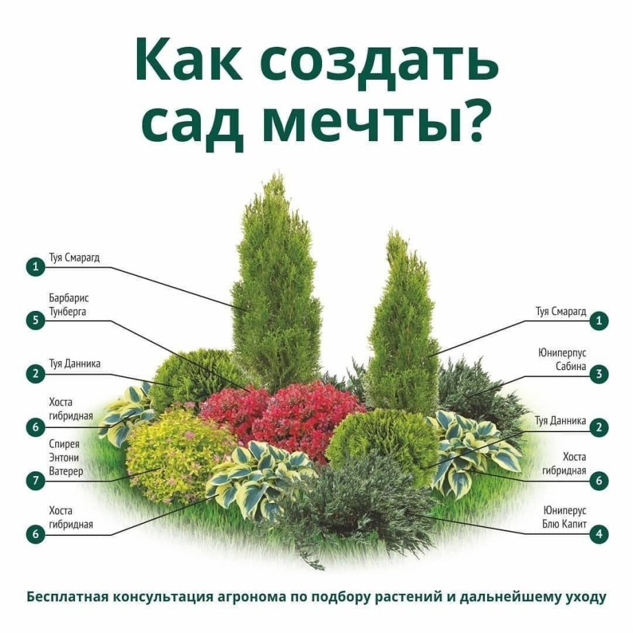План участка Оксана Хлебородова