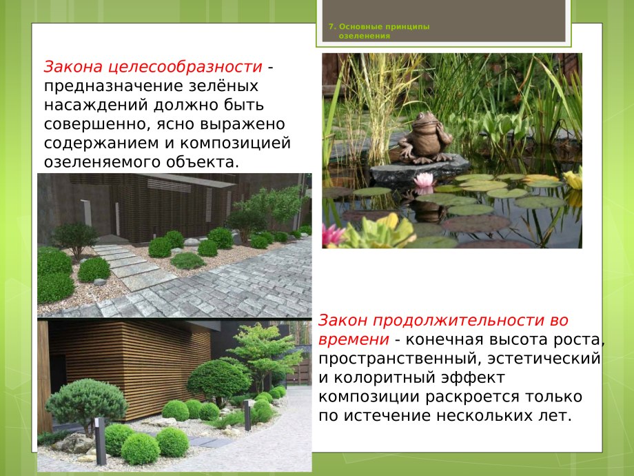 Озеленение территории презентация