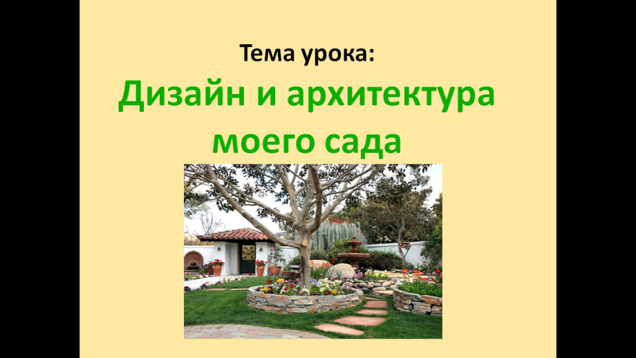 Схема миксбордера с хвойными
