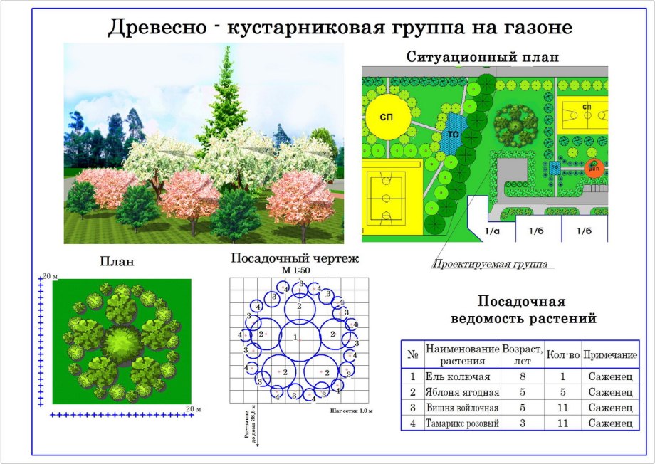 Планировка участка 25 соток погребок