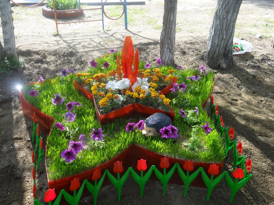 Дендроплан рокария