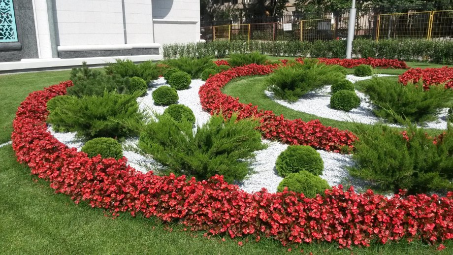 Клумба рисунок