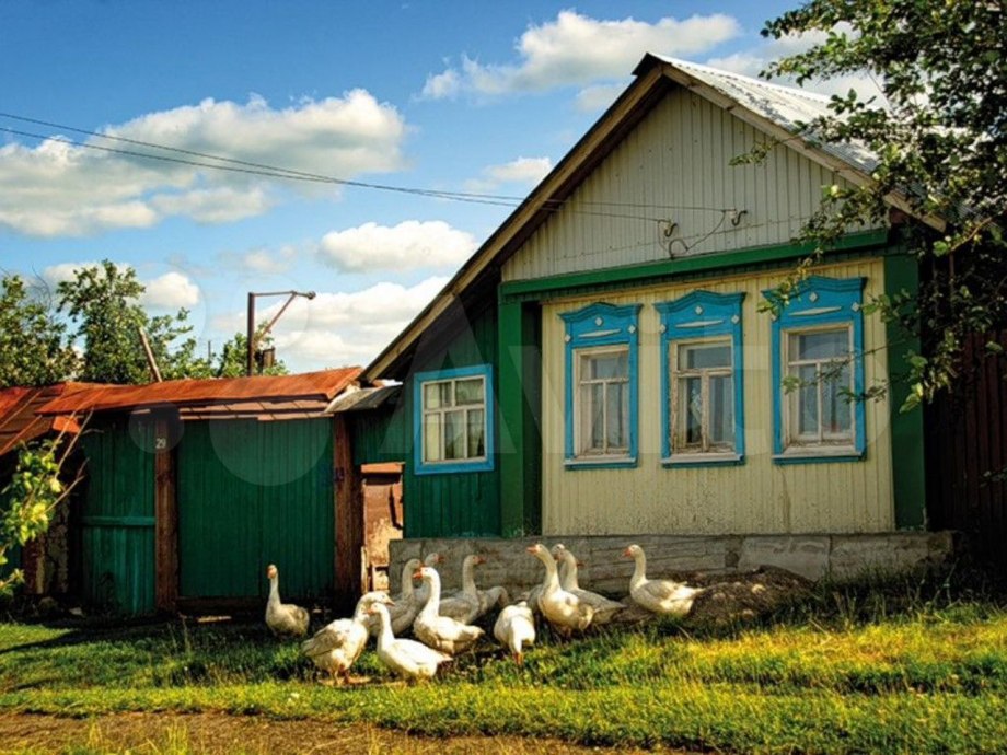 Частный дом в деревне