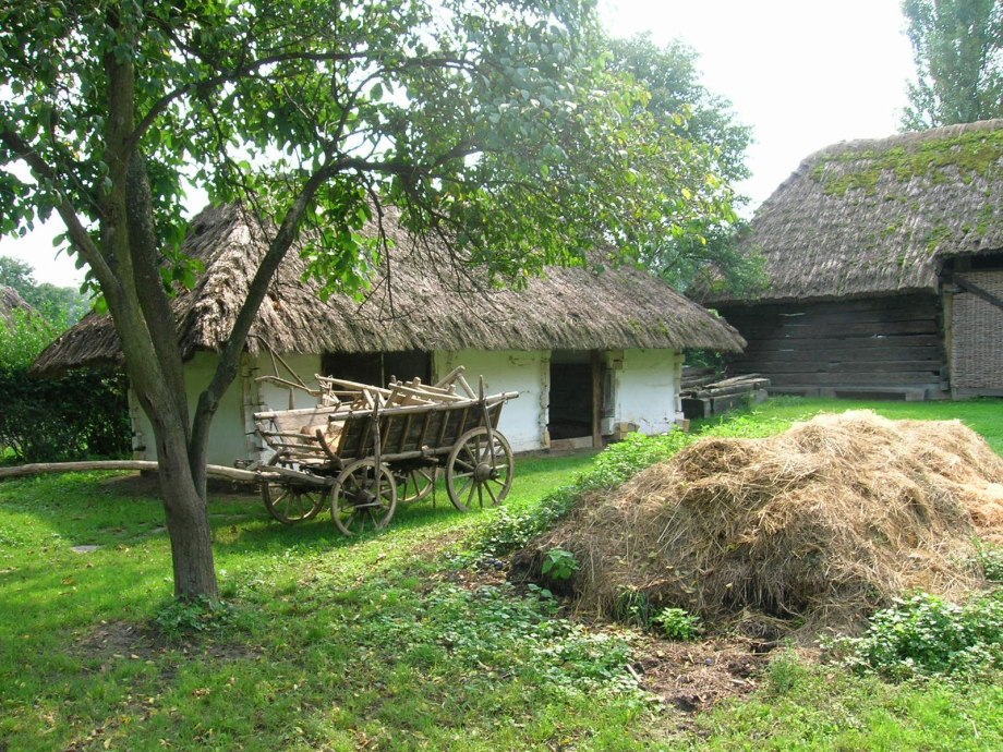 Украинский двор в деревне