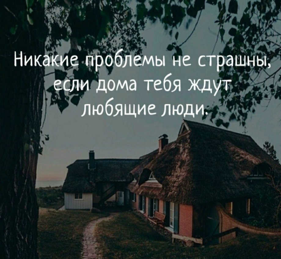 Художник Александр Маскаев кот Кузьма