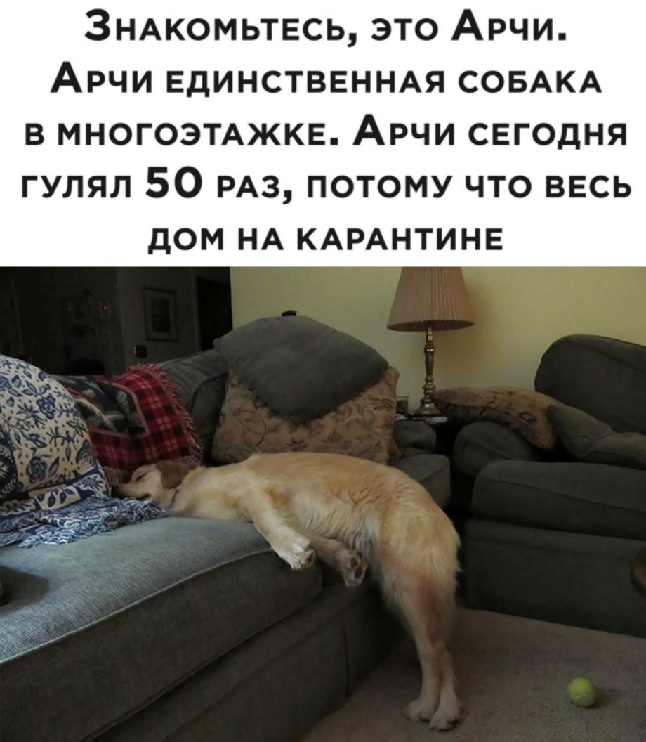 Ютта Лангройтер. А дома лучше!