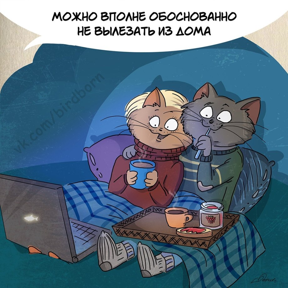 Уютный котик