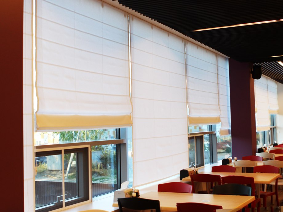 Plisse Blinds