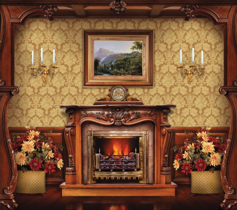 Дровяная печь-камин Dovre 250cbs