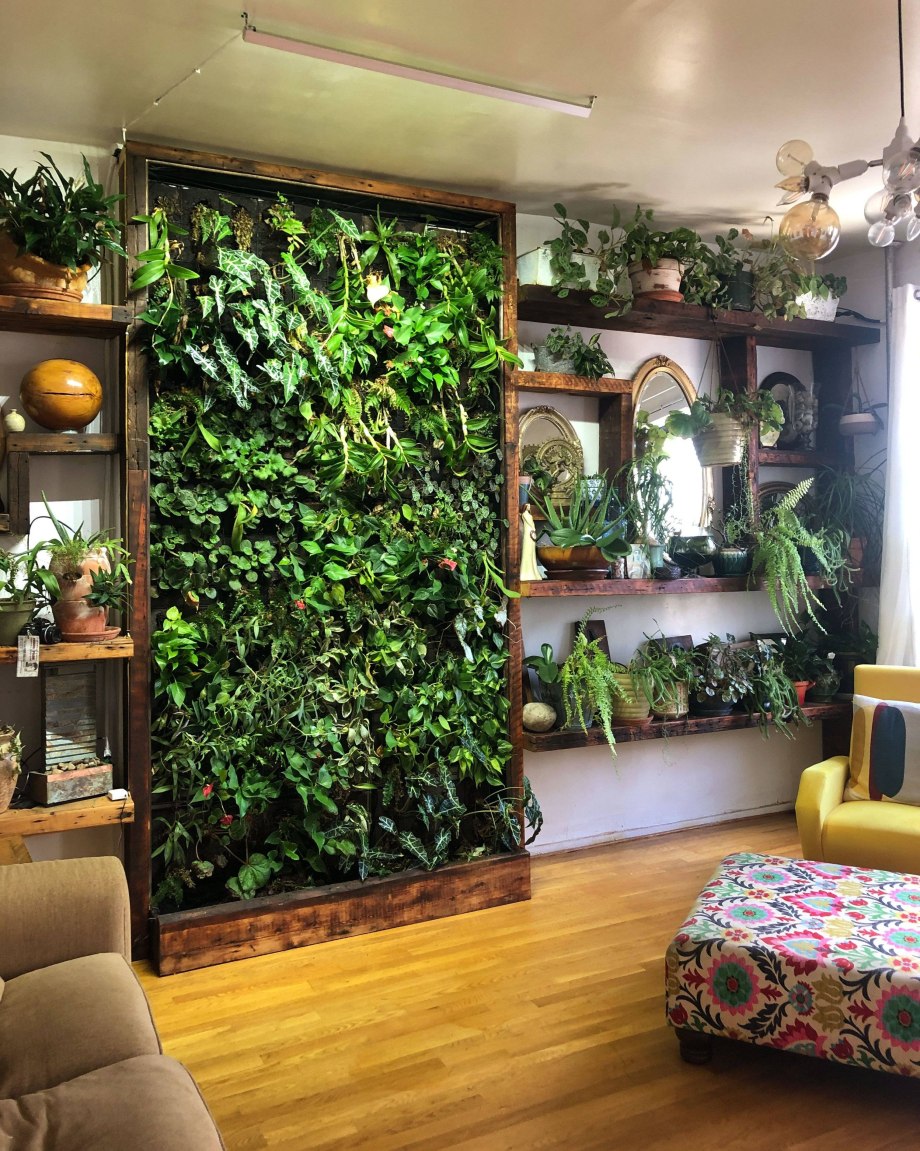 Urban Jungle интерьер Калатея
