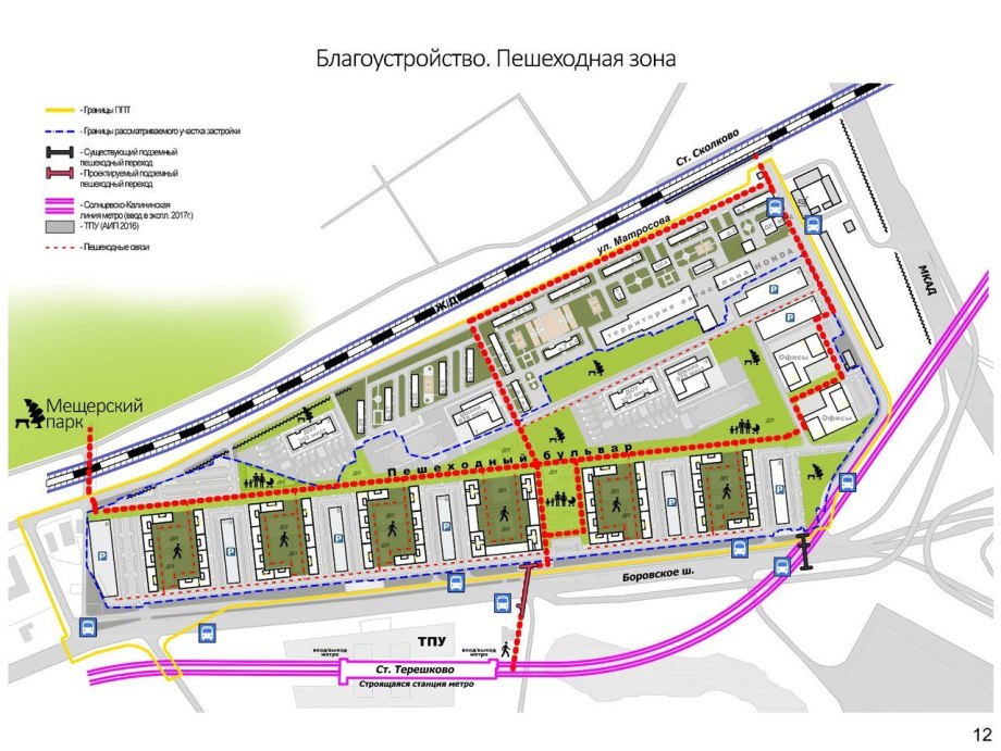 Мещерский лес район Солнцево