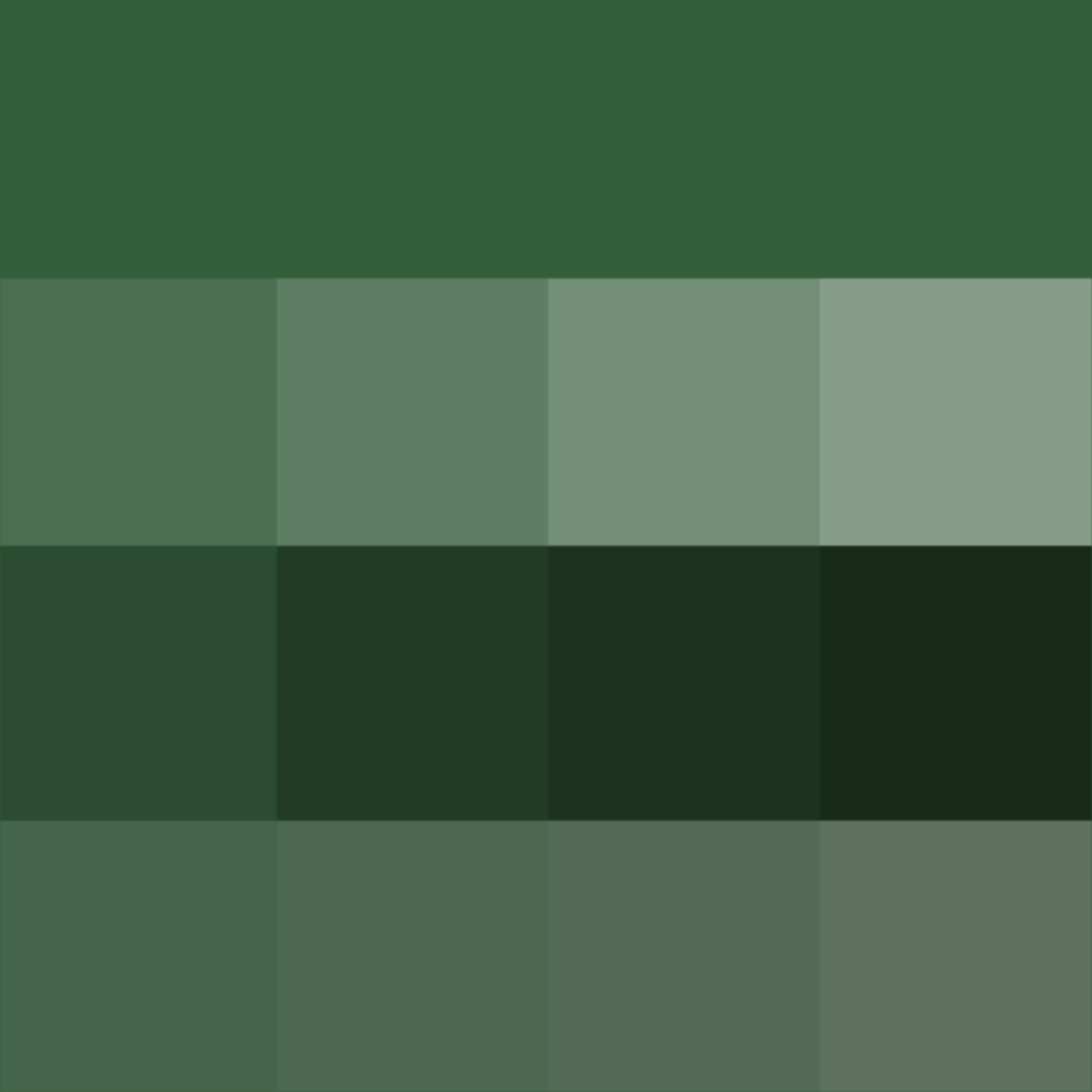 Или зеленый например цвета зеленых. Цвет Хантер Грин. Хаки пантон. Хаки болотный оливковый пантон. Hunter Green палитра.