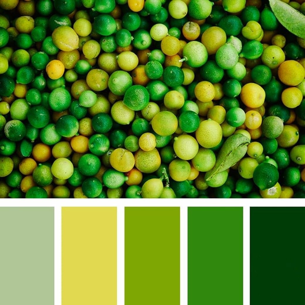 Зеленым и т п в. Цветовые сочетания с зеленым. Цветовая палитра зеленый. Салатовый цвет сочетание. Цветовая палитра зеленых оттенков.