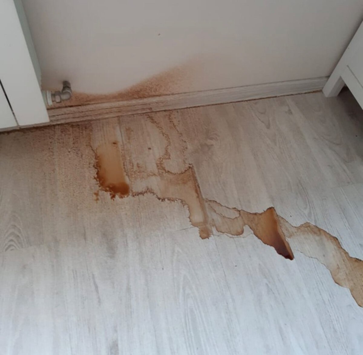 Холодильник после затопления. Затопление квартиры. Потоп в квартире. Затопило квартиру. Ламинат после затопления.