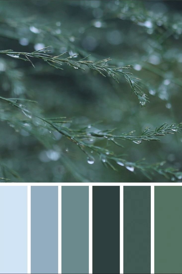 Little Greene изумруд