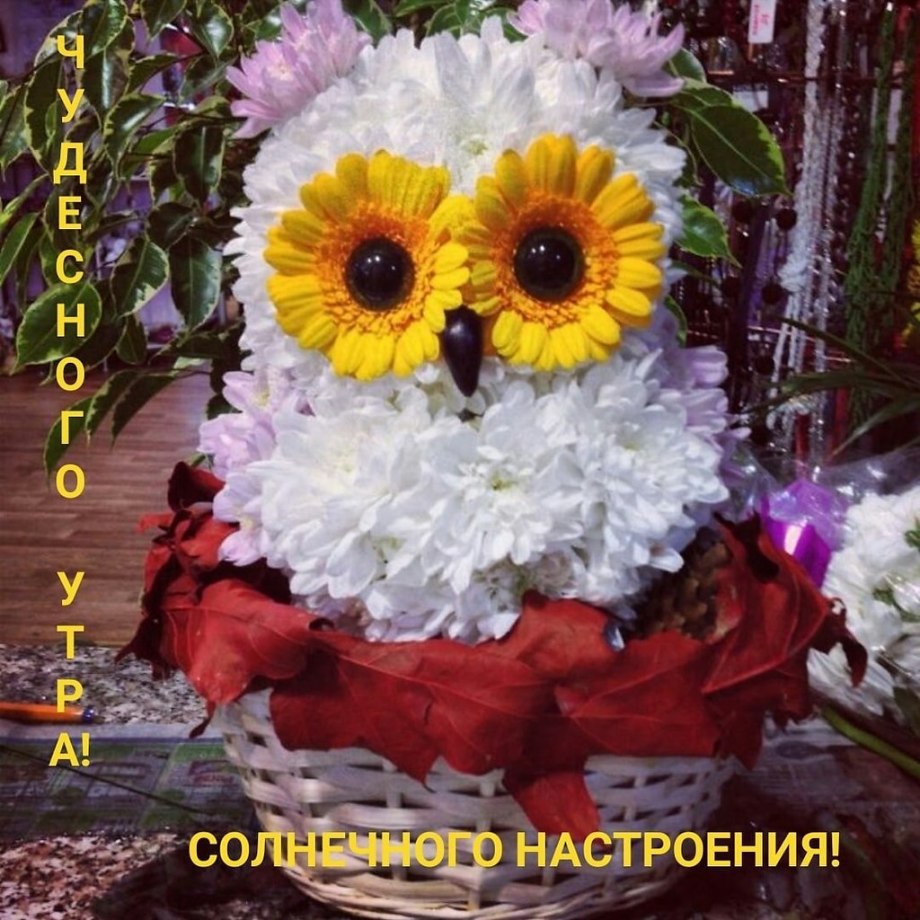 Композиция из цветов Сова