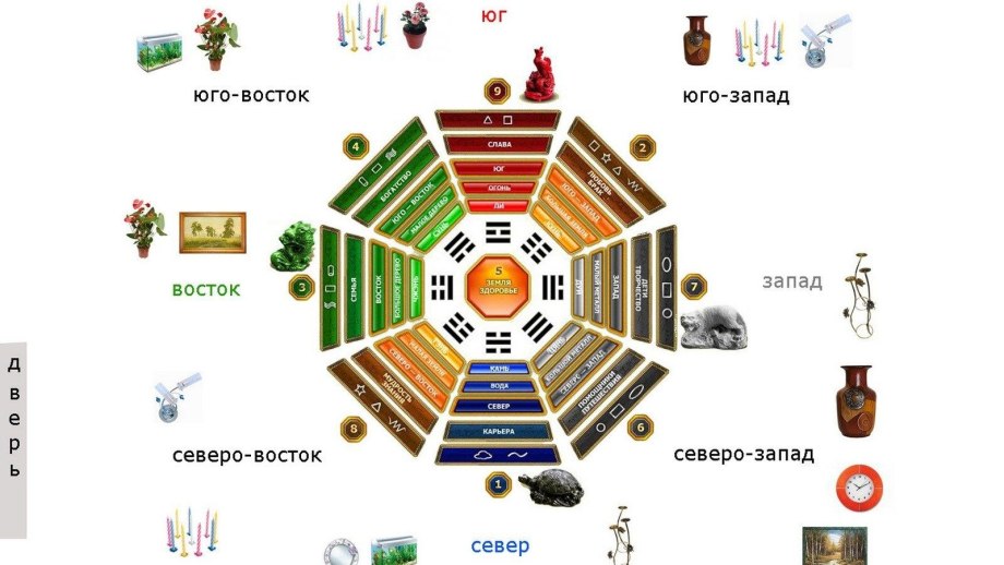 Комнатные цветы в интерьере гостиной