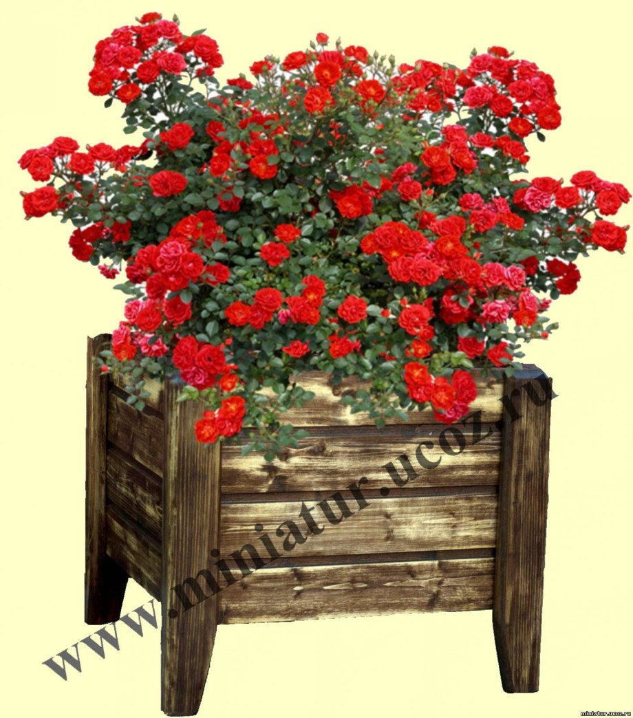 Оригинальные клумбы