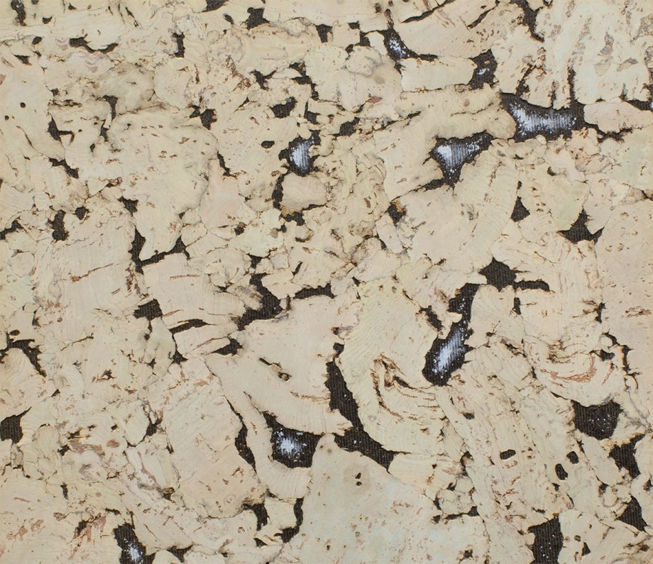 CORKART pw3 324c