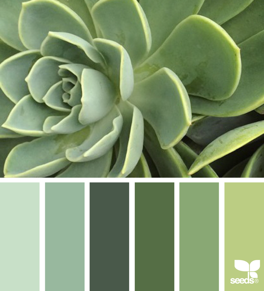 Палитра Сидс холодные зелёные. Seeds Color Palette изумрудный. Нюансные оттенки зеленого палитра. Олива Грин цвет.