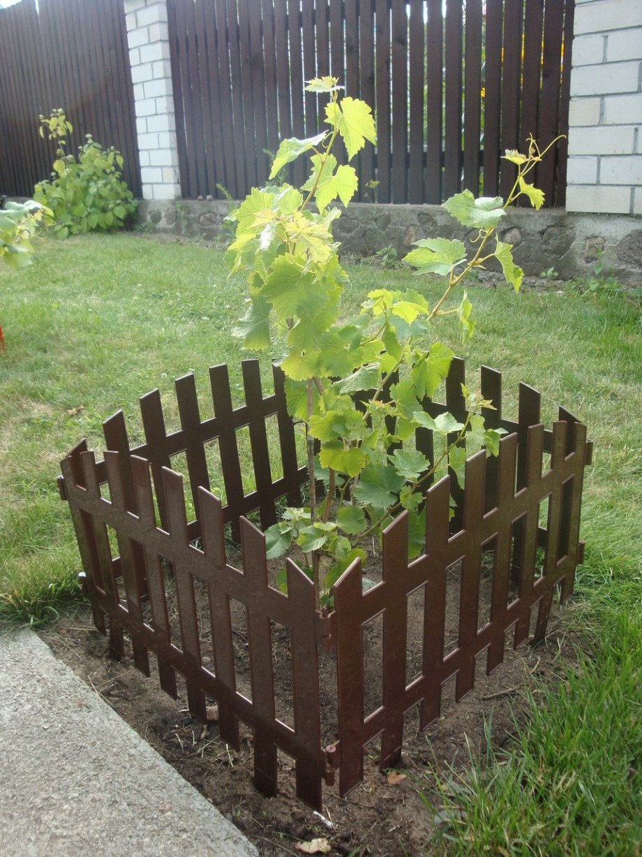 Забор декоративный renessans №2, 3,1х0,35 м, белый, GARDENPLAST
