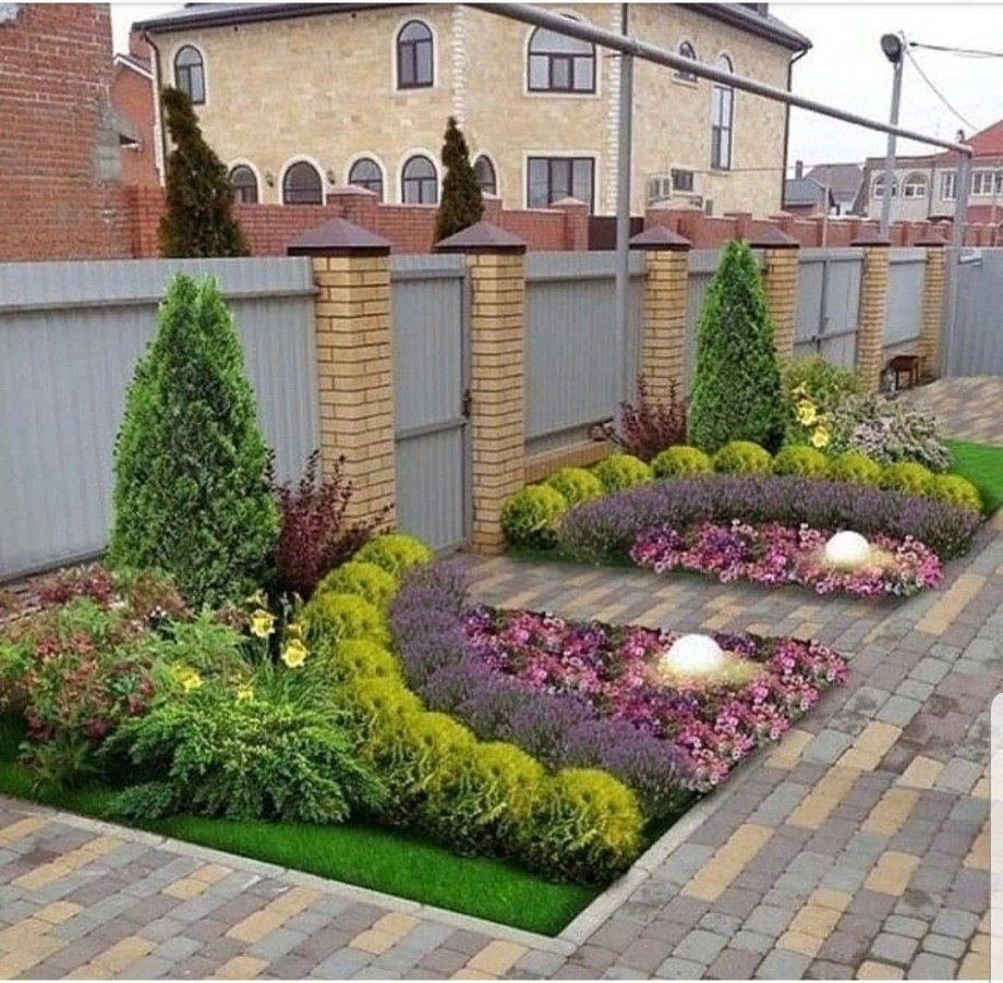 Клумбовые многолетники.