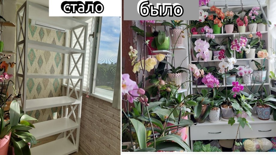 Стеллаж открытый для цветов