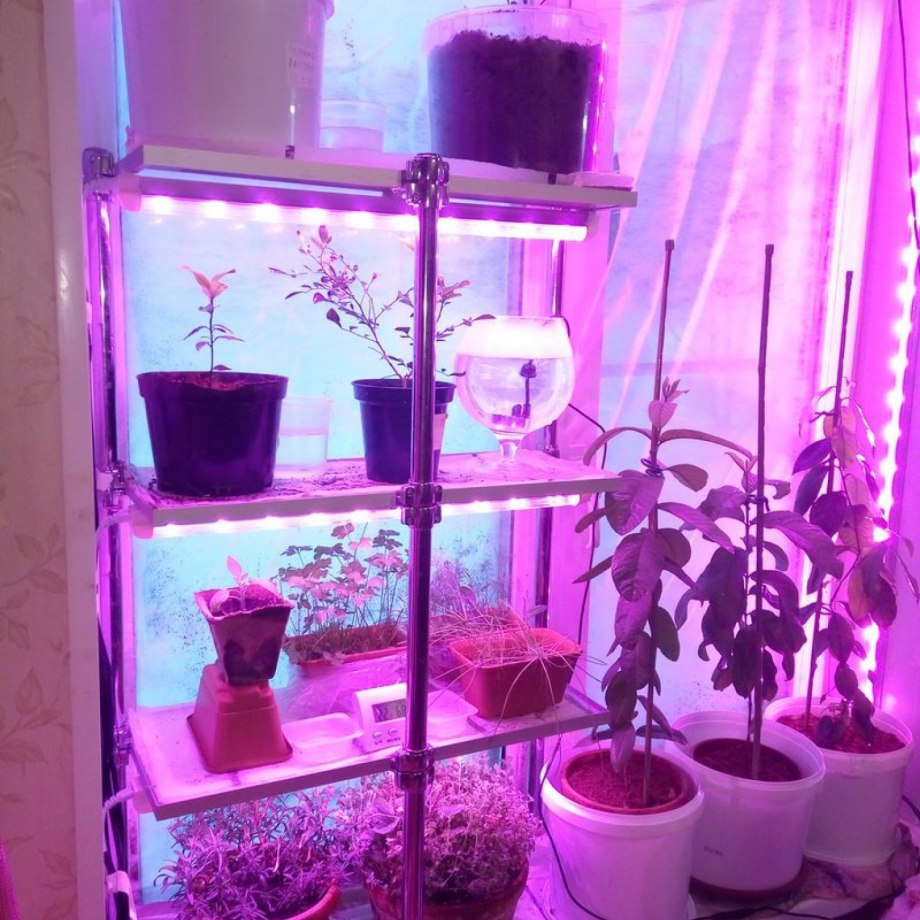 Полочки для цветов