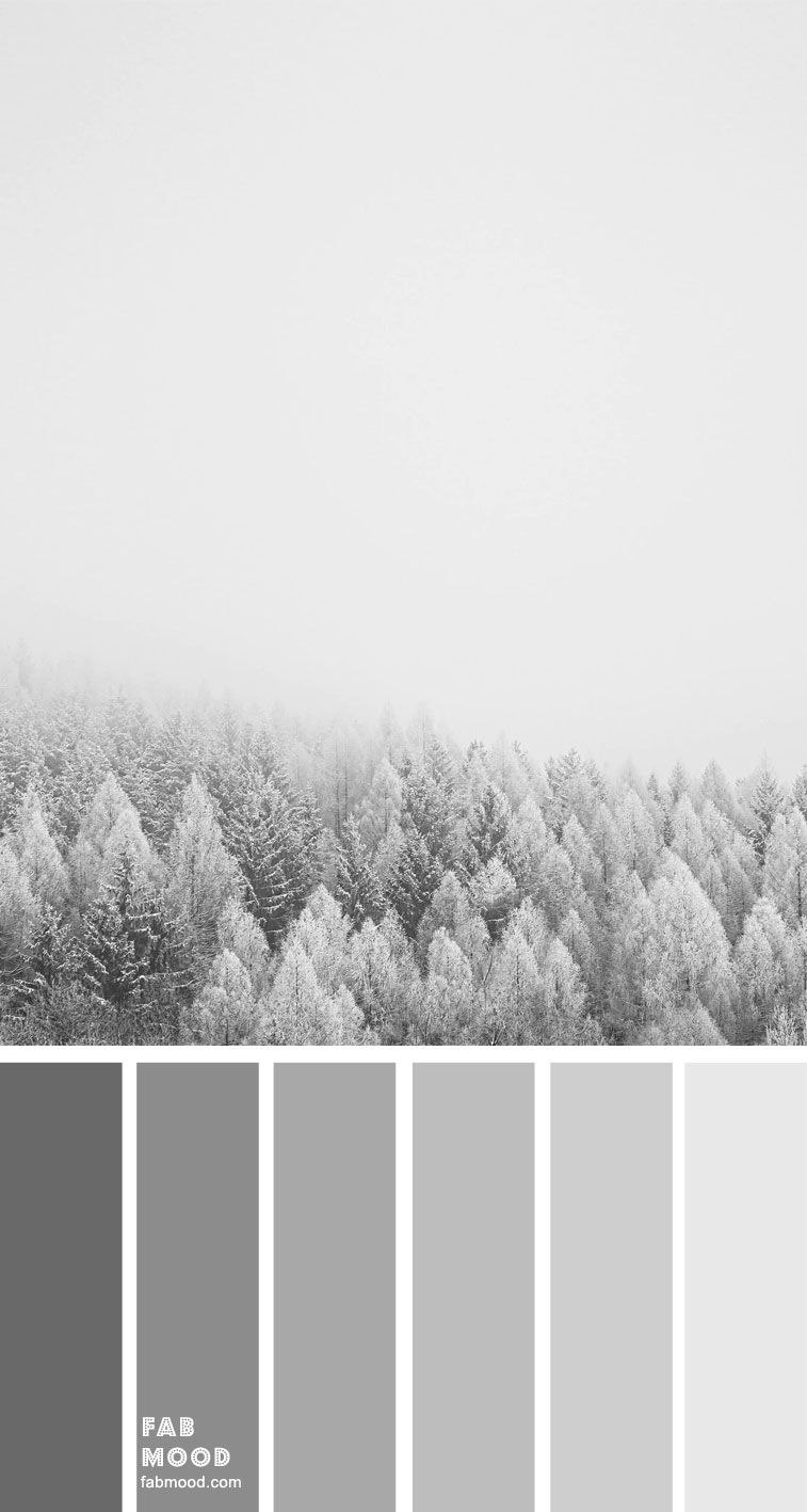 Shades of gray