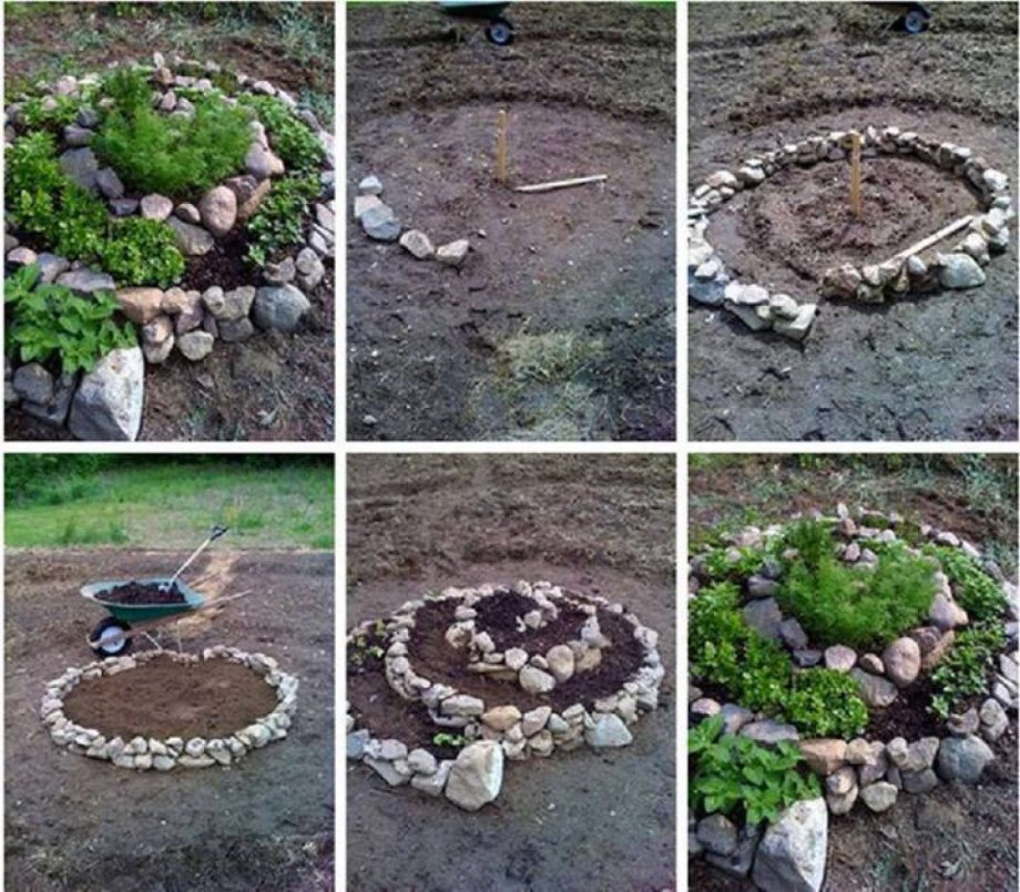Анютины глазки на клумбе