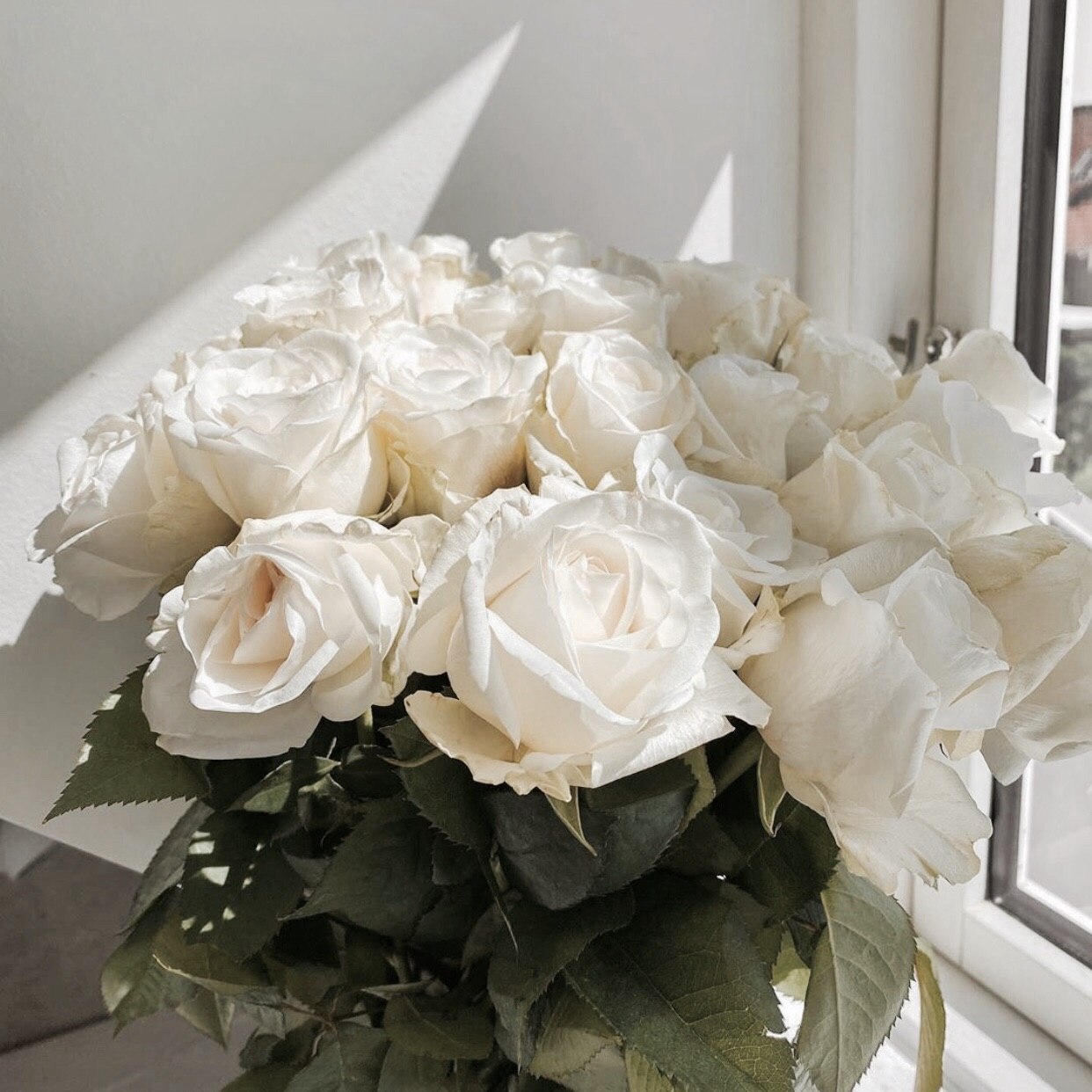 Сон белые розы букет. Букет белых роз на окне. Букет белых цветов. Красивые белые розы. Букет белых роз Эстетика.