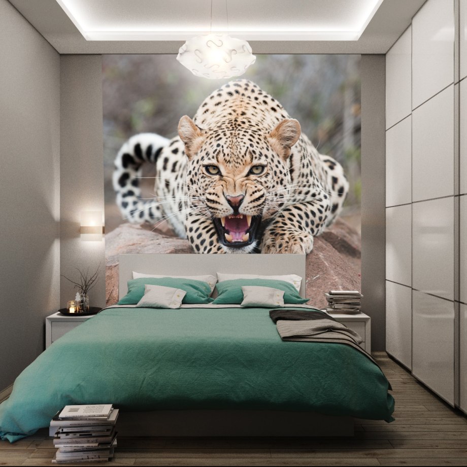 Roberto Cavalli Home