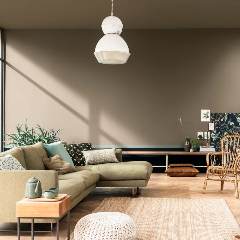 Dulux тон Brave ground